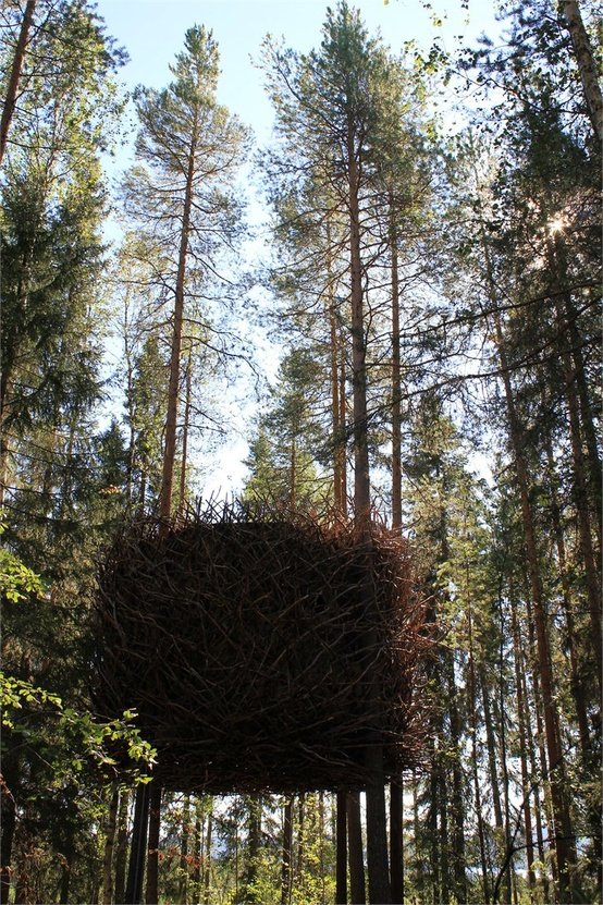 treehotel_06