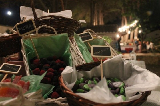 boda-jardin-21