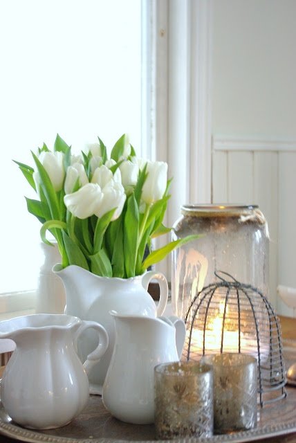 tulipanes10
