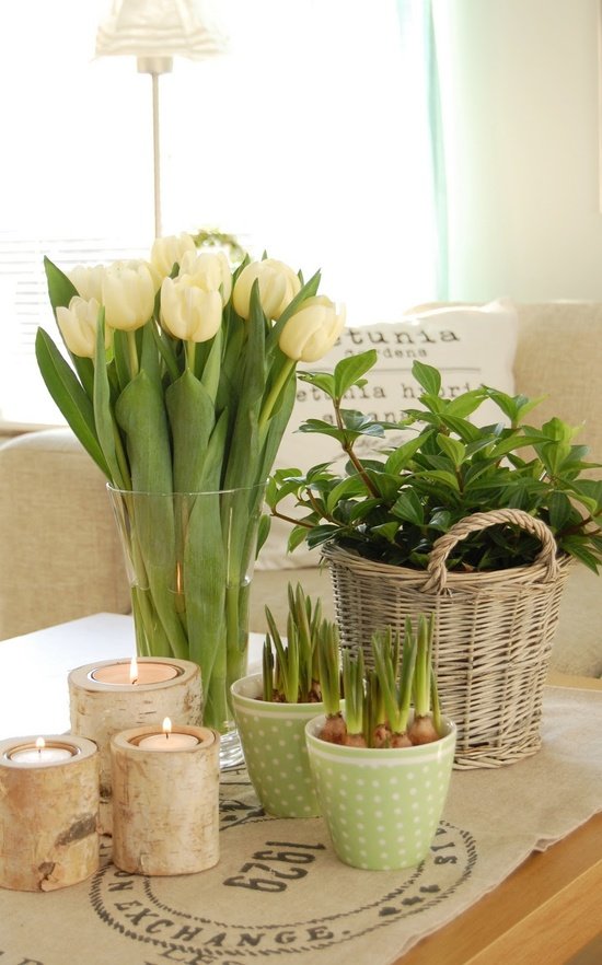 tulipanes20