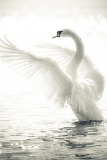 blanco_07