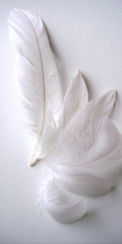 blanco_09