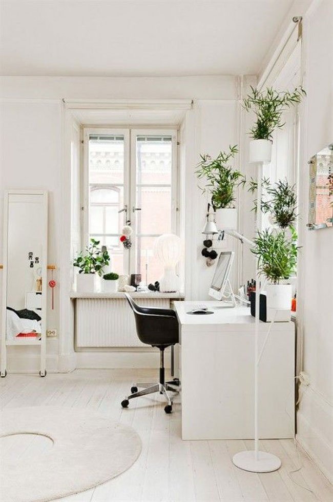 decoracion-blanco+plantas-02