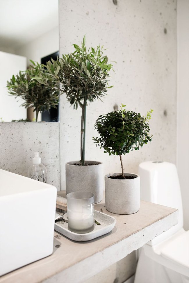 plantas-en-el-baño-09