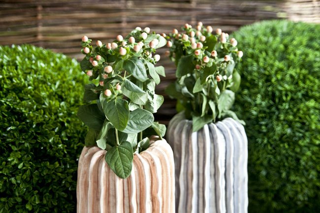 Westwing_Mood_Garden_2