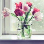 Una flor preciosa para decorar, los tulipanes