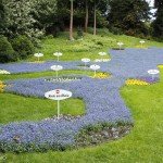 Mainau, La isla de las flores