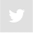 social-tw-hover