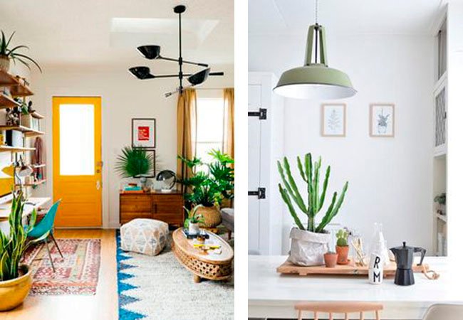 decorar-con-plantas-11