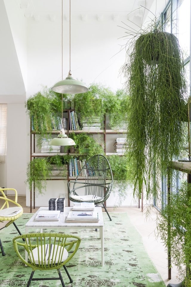 casa-decoracion-verde-03
